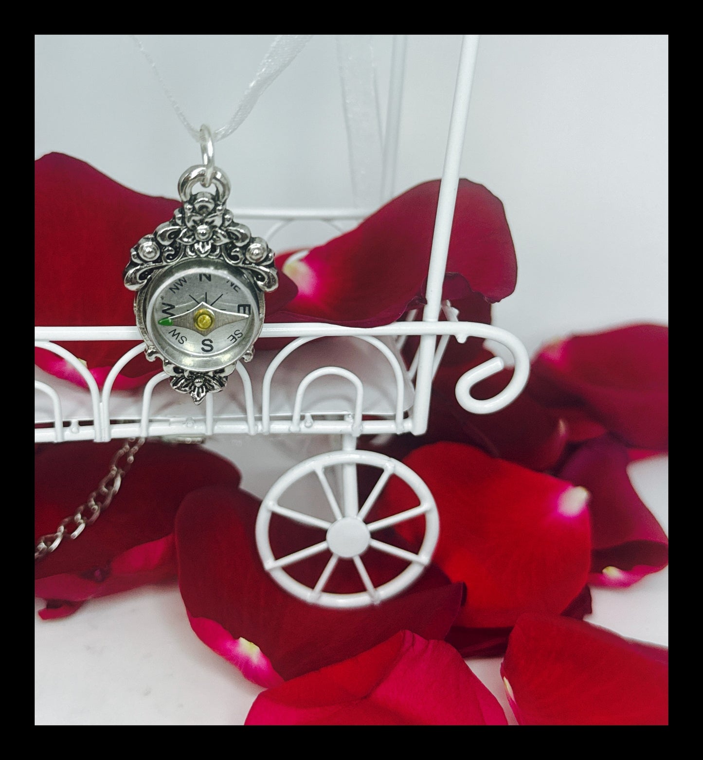 ✨Charming Compass Necklace✨
