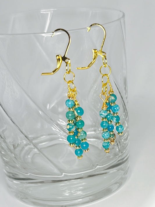 Ocean Treasure Earrings