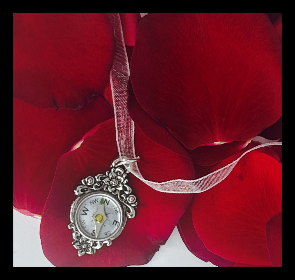 ✨Charming Compass Necklace✨